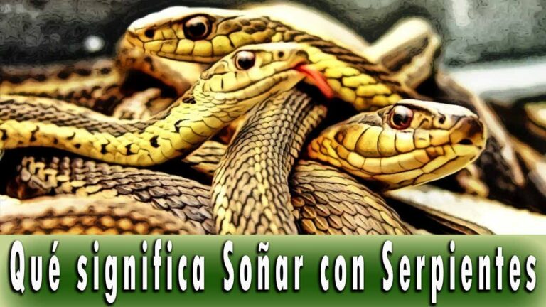 Qué significa cuando sueñas con una serpiente Descubre su