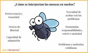 🪰📖 Descubre El Significado Bíblico: ¿Qué Significa Soñar Con Moscas ...